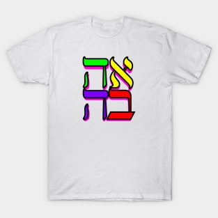 Love: Hebrew T-Shirt